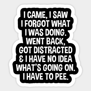 I Came I Saw I Forgot What I Was Doing - Funny Senior Citizen Saying Sticker